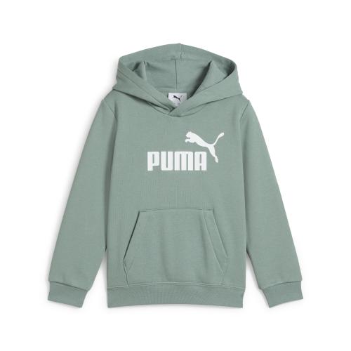 Puma ESS No. 1 Logo Hoodie FL PS - green moon (Grösse: 98) von Puma