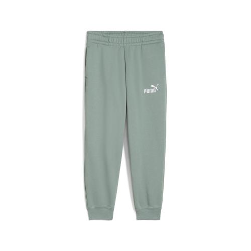 Puma ESS No. 1 Logo Sweatpants FL PS - green moon (Grösse: 122) von Puma