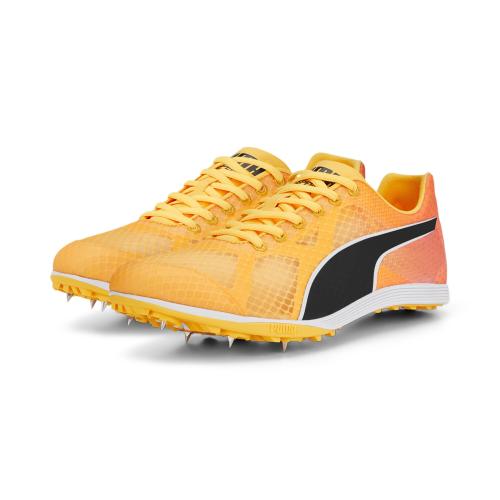 Puma evoSPEED Crossfox 4 - sun stream (Grösse: 40.5) von Puma