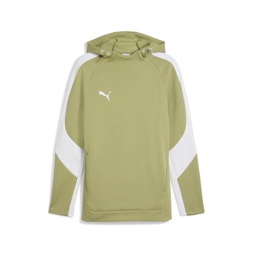 Puma teamEVOSTRIPE Hoody - calming green (Grösse: 3XL) von Puma