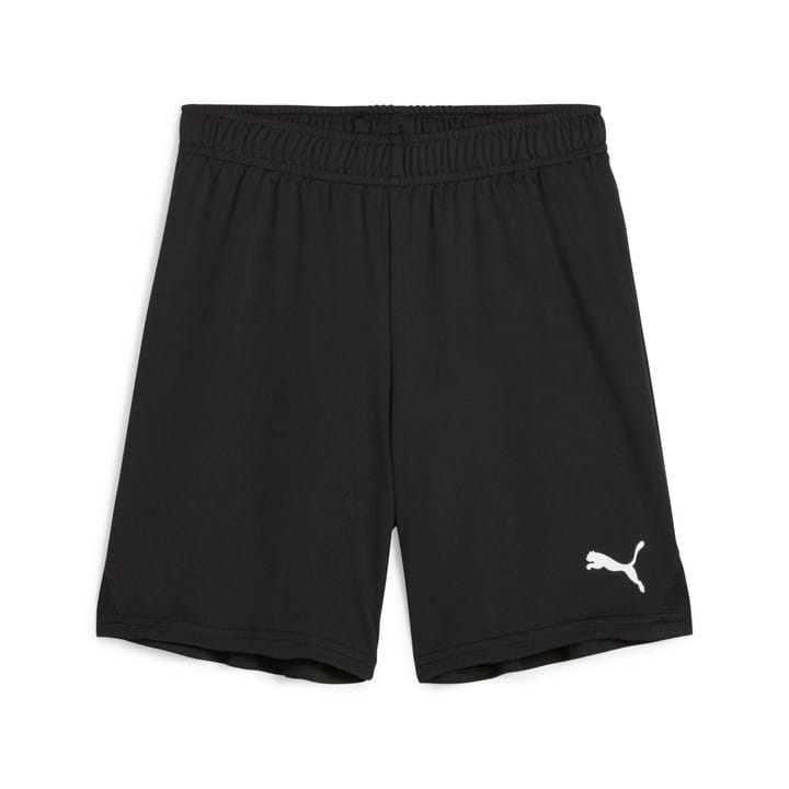 Puma teamGOAL Shorts Shorts schwarz von Puma