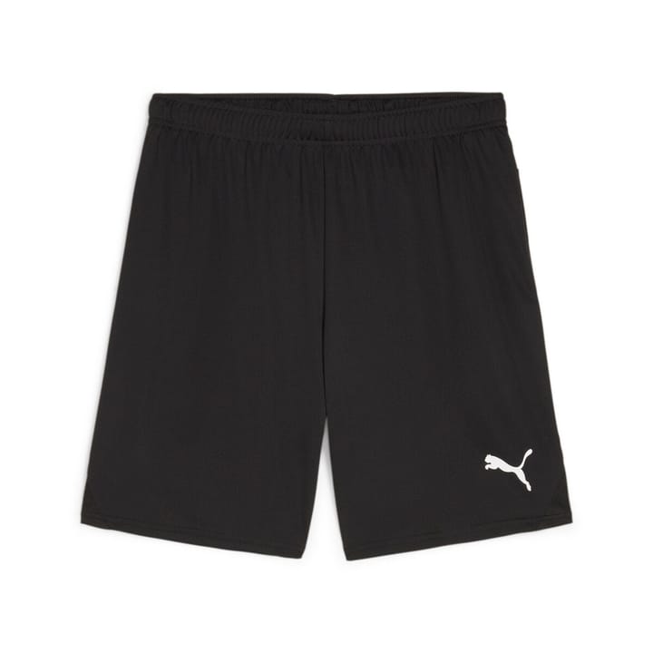 Puma teamGOAL Shorts Shorts schwarz von Puma