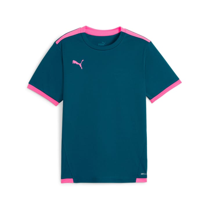 Puma teamLIGA Jersey T-Shirt petrol von Puma