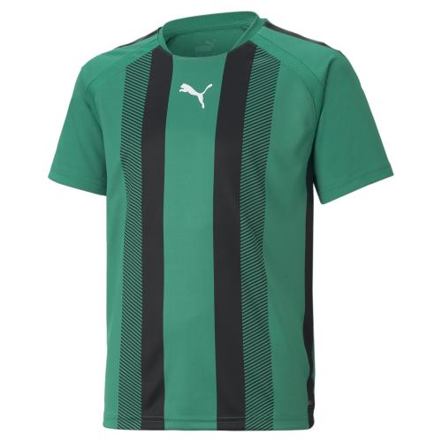 Puma teamLIGA Striped Jersey Jr - Pepper Green-Puma Black-Puma White (Grösse: 176) von Puma