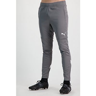 Schweiz Training Herren Trainerhose Schweiz Training Herren Trainerhose von Puma