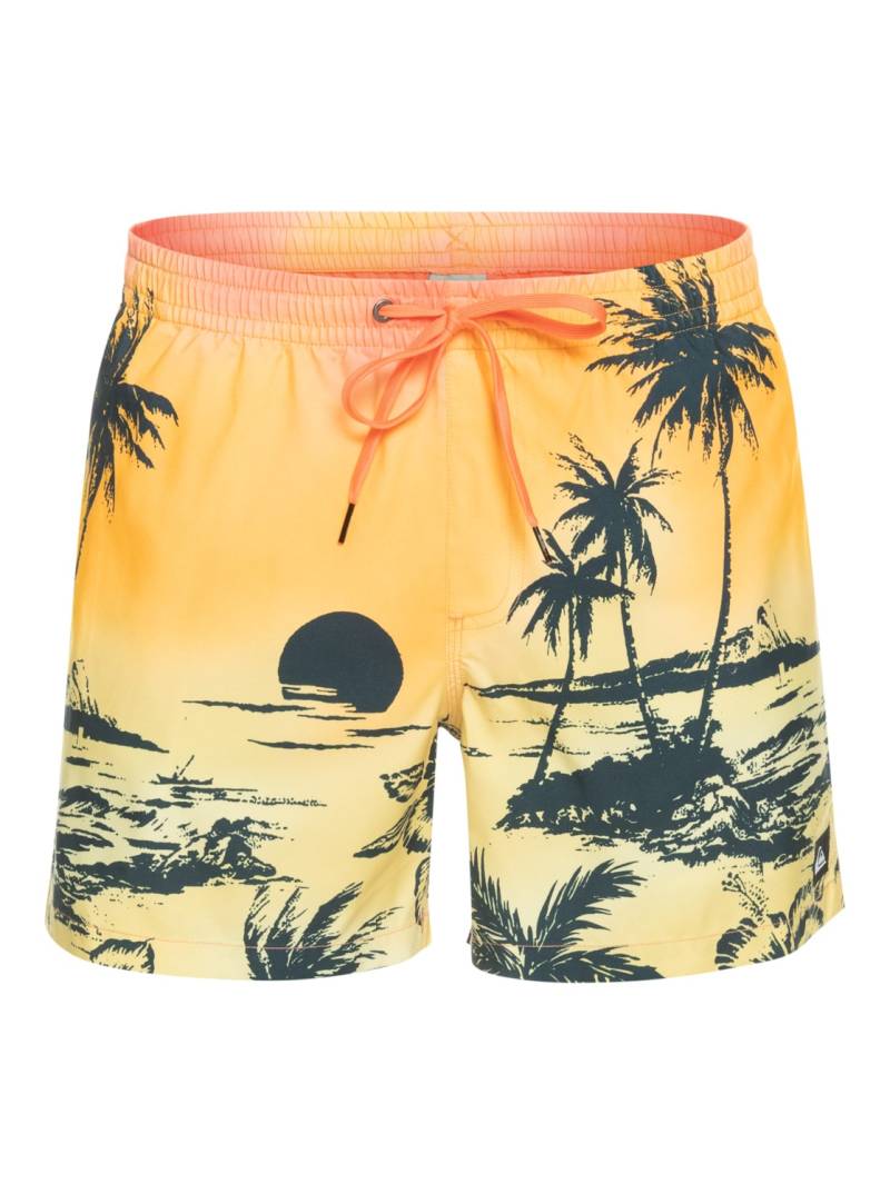Quiksilver Boardshorts »Everyday Paradise 15"« von Quiksilver