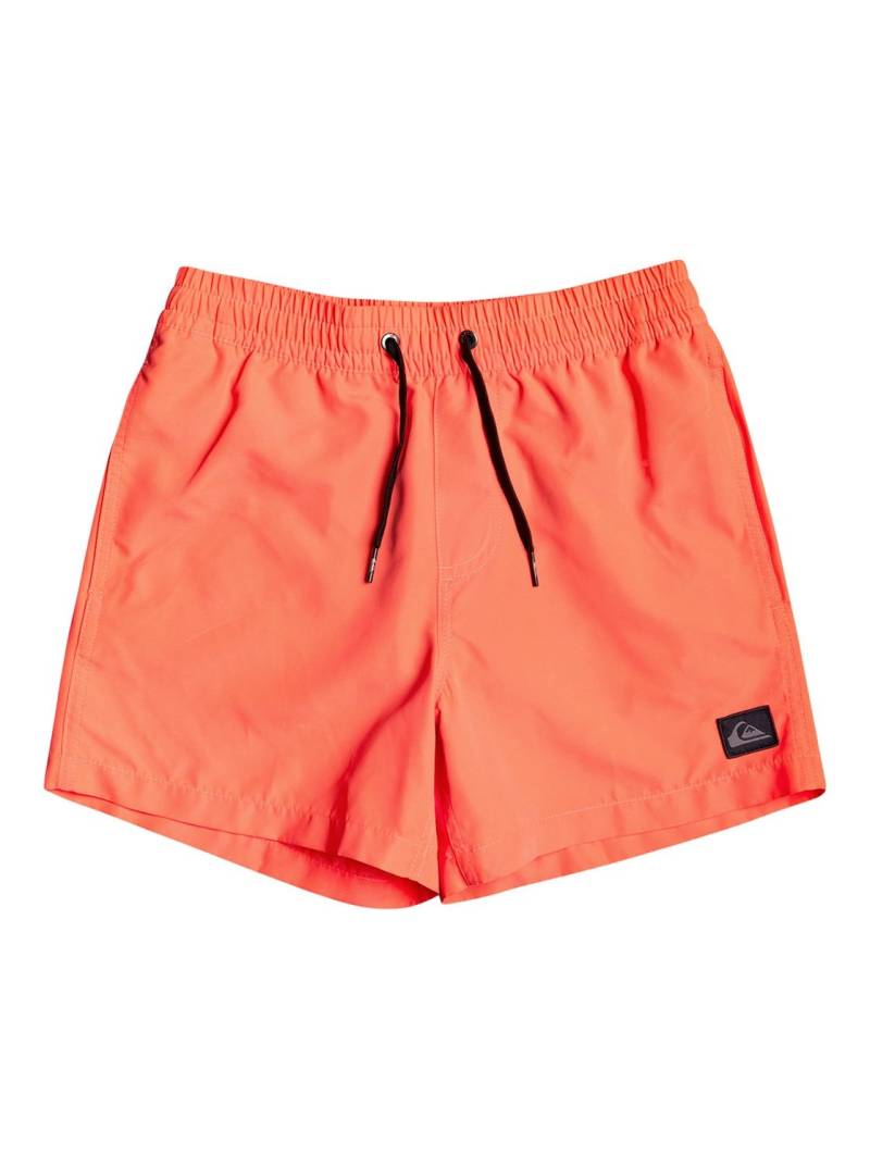 Quiksilver Badeshorts »Everyday 13"« von Quiksilver