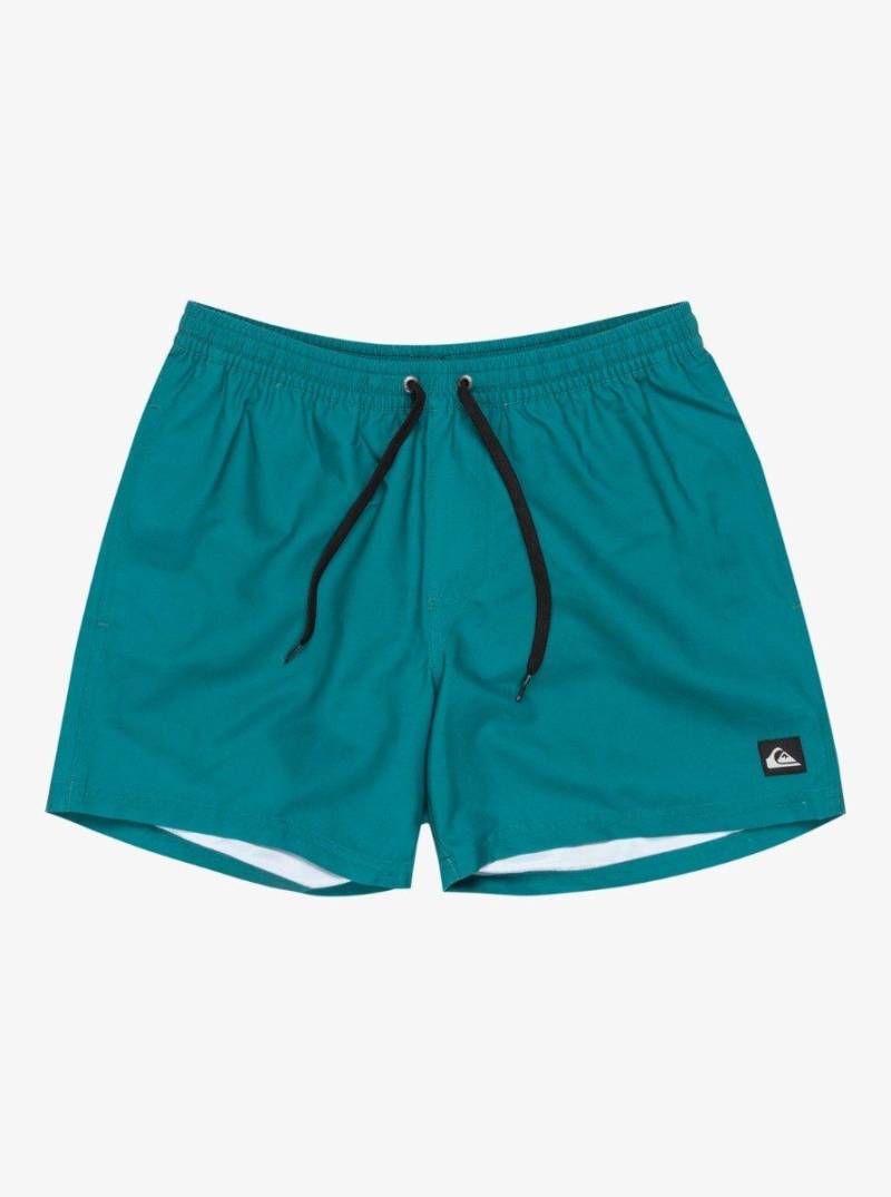 Quiksilver EVERYDAY VOLLEY 15-L L von Quiksilver