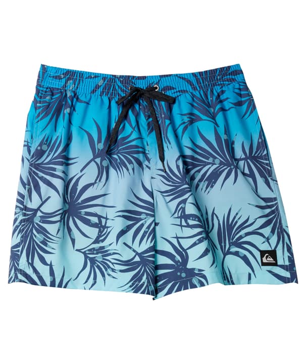 Quiksilver Everyday Mix Volley Badeshorts blau von Quiksilver