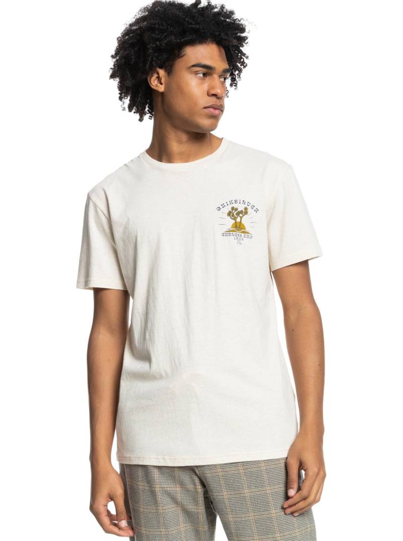 Quiksilver T-Shirt »Avalons« von Quiksilver