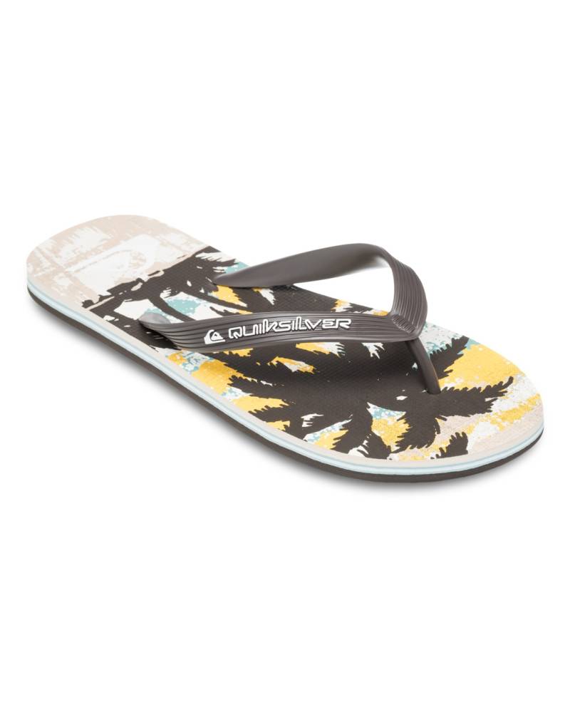 Quiksilver Sandale »Molokai Art 25« von Quiksilver