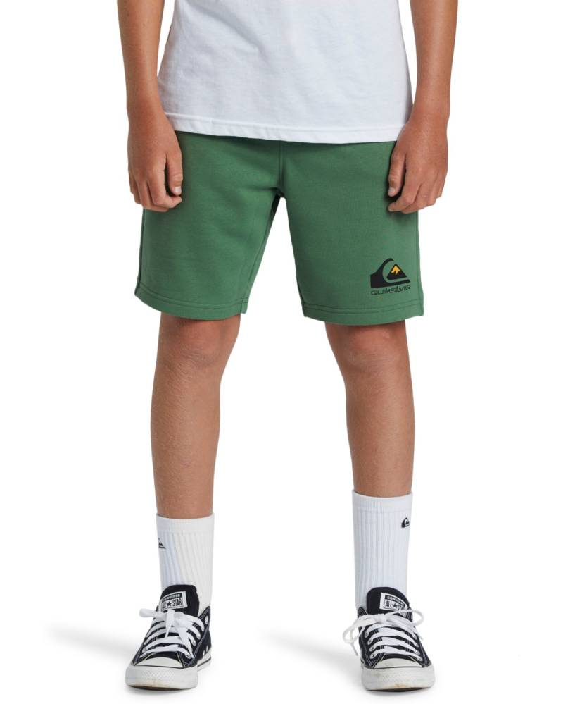Quiksilver Sweatshorts »Easy Day« von Quiksilver