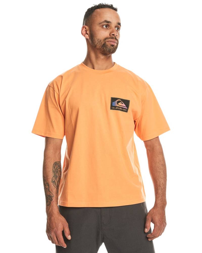 Quiksilver T-Shirt »Back Flash« von Quiksilver