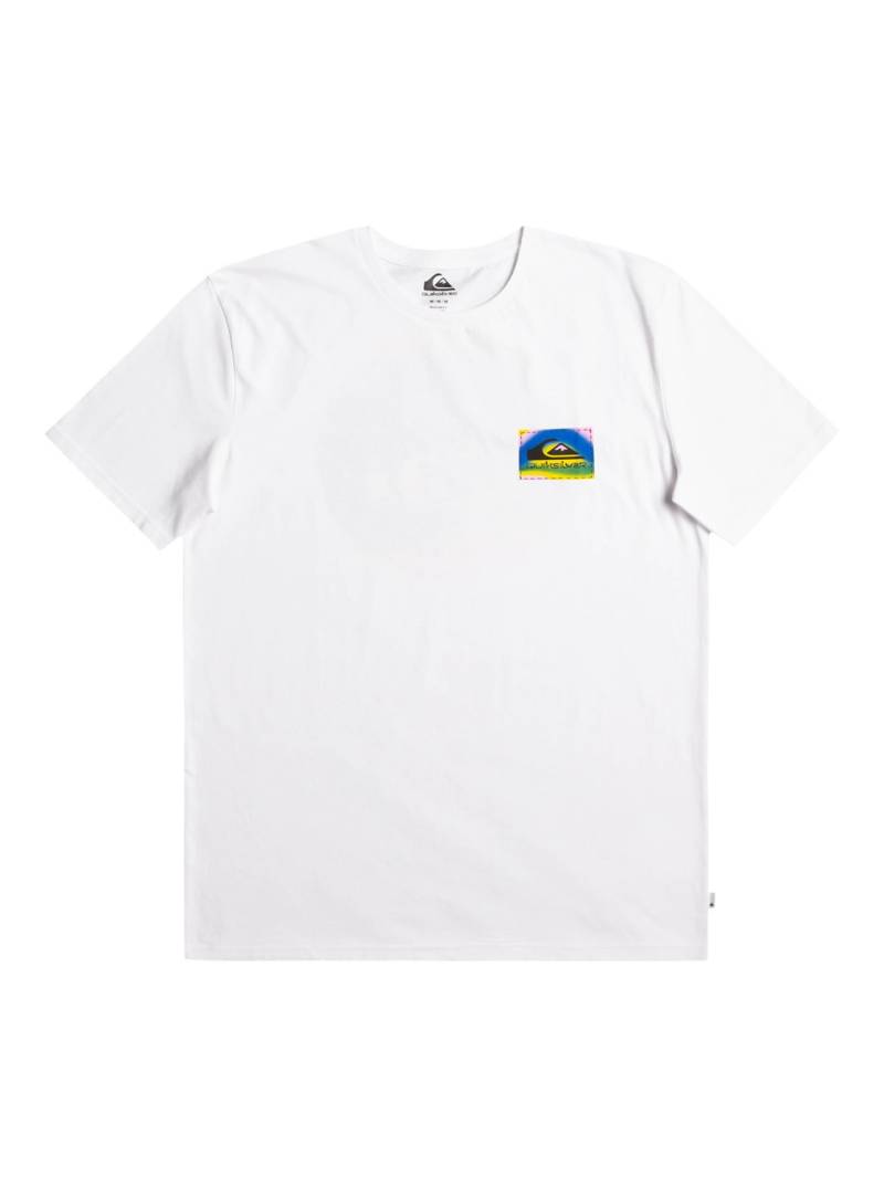 Quiksilver T-Shirt »Colour Flow« von Quiksilver