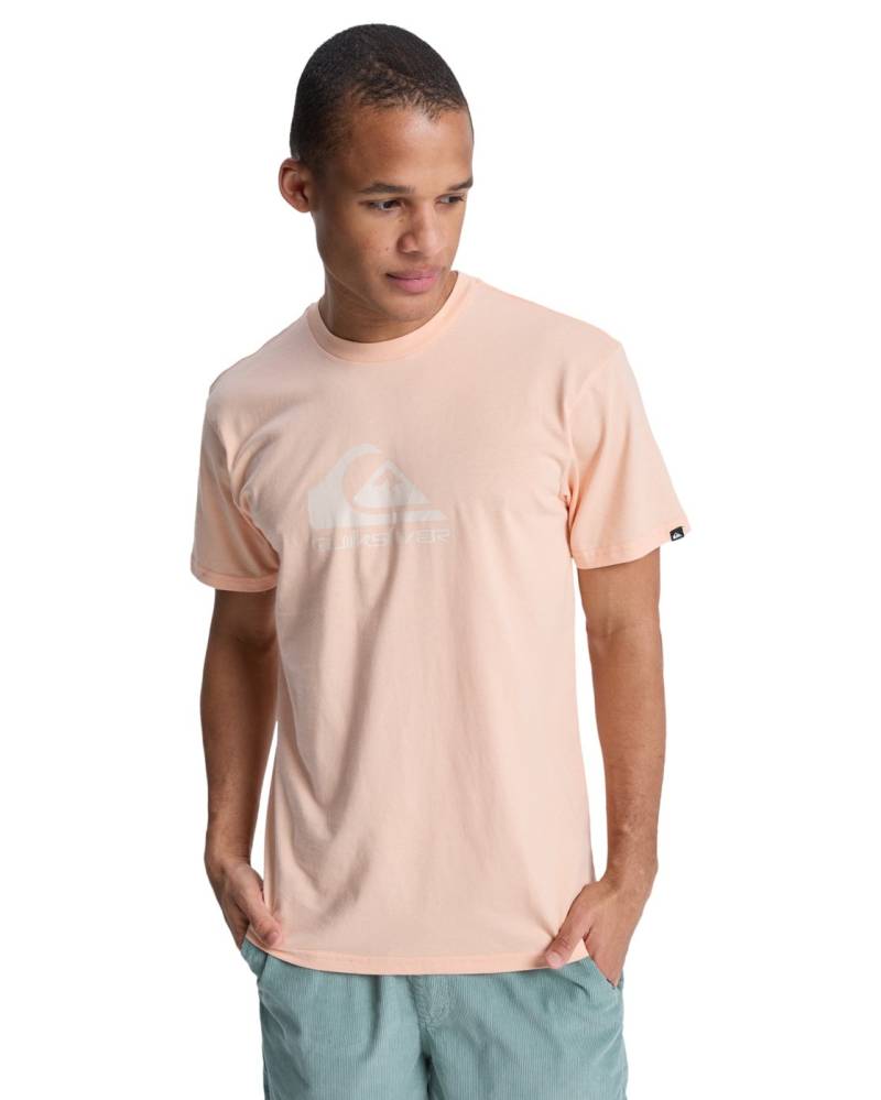 Quiksilver T-Shirt »EV Comp Logo« von Quiksilver