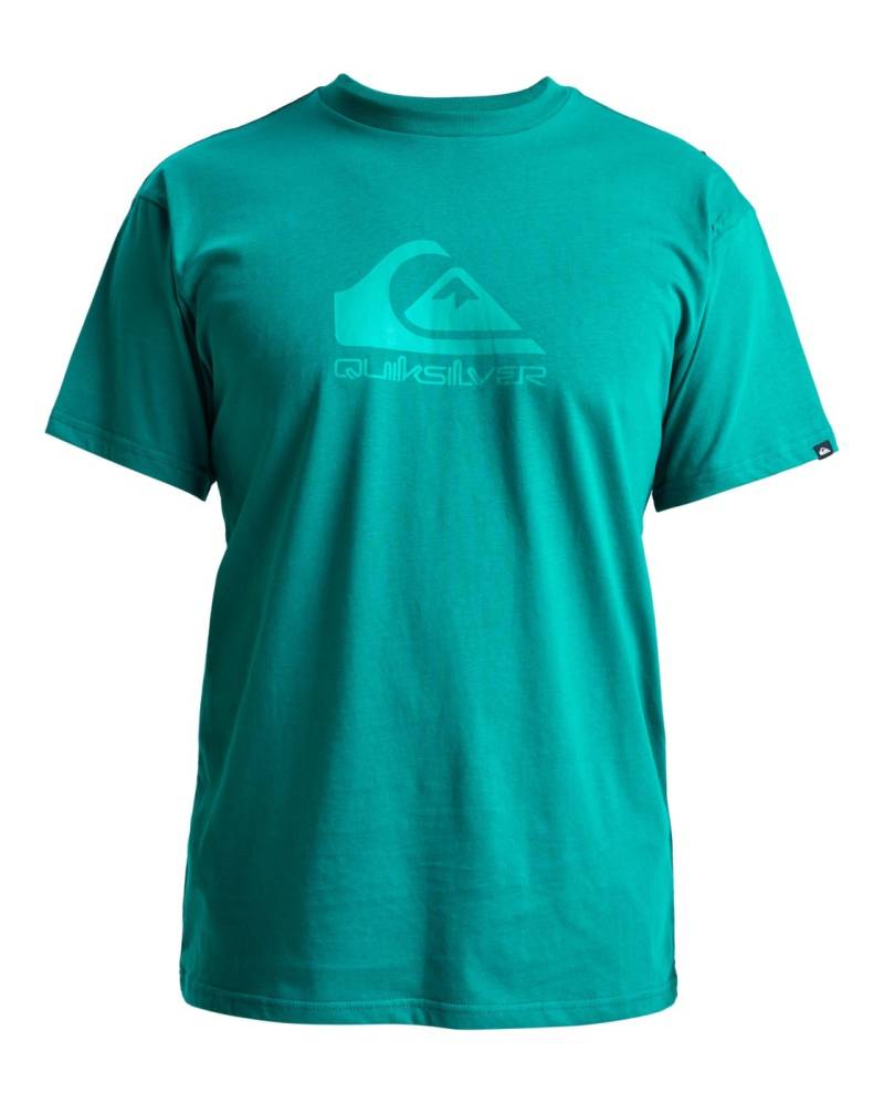 Quiksilver T-Shirt »EV Comp Logo« von Quiksilver