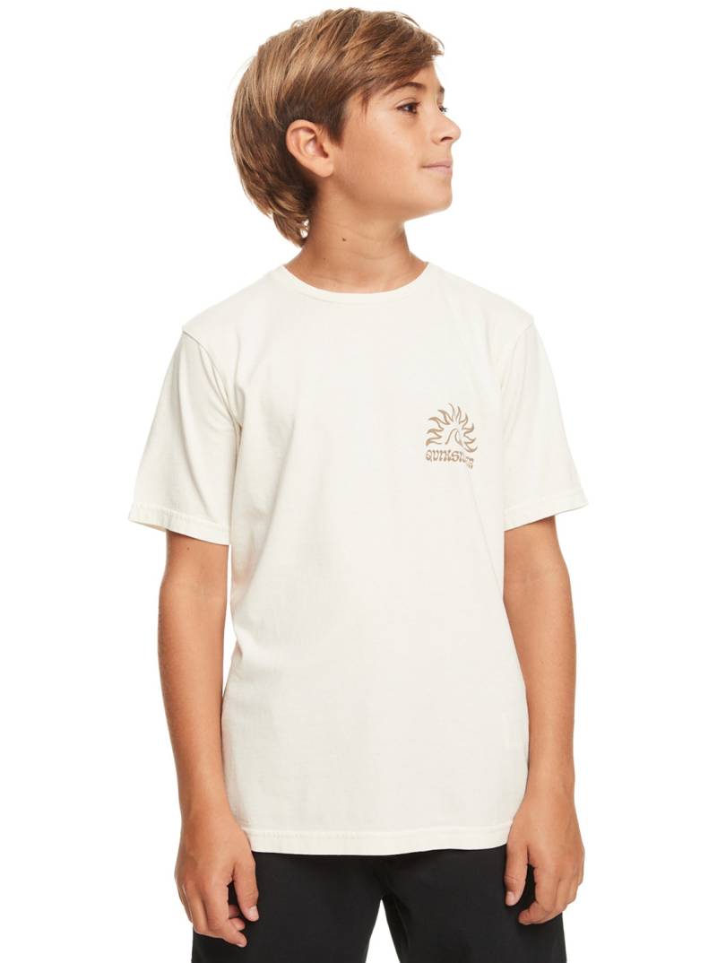 Quiksilver T-Shirt »Earthy Type« von Quiksilver