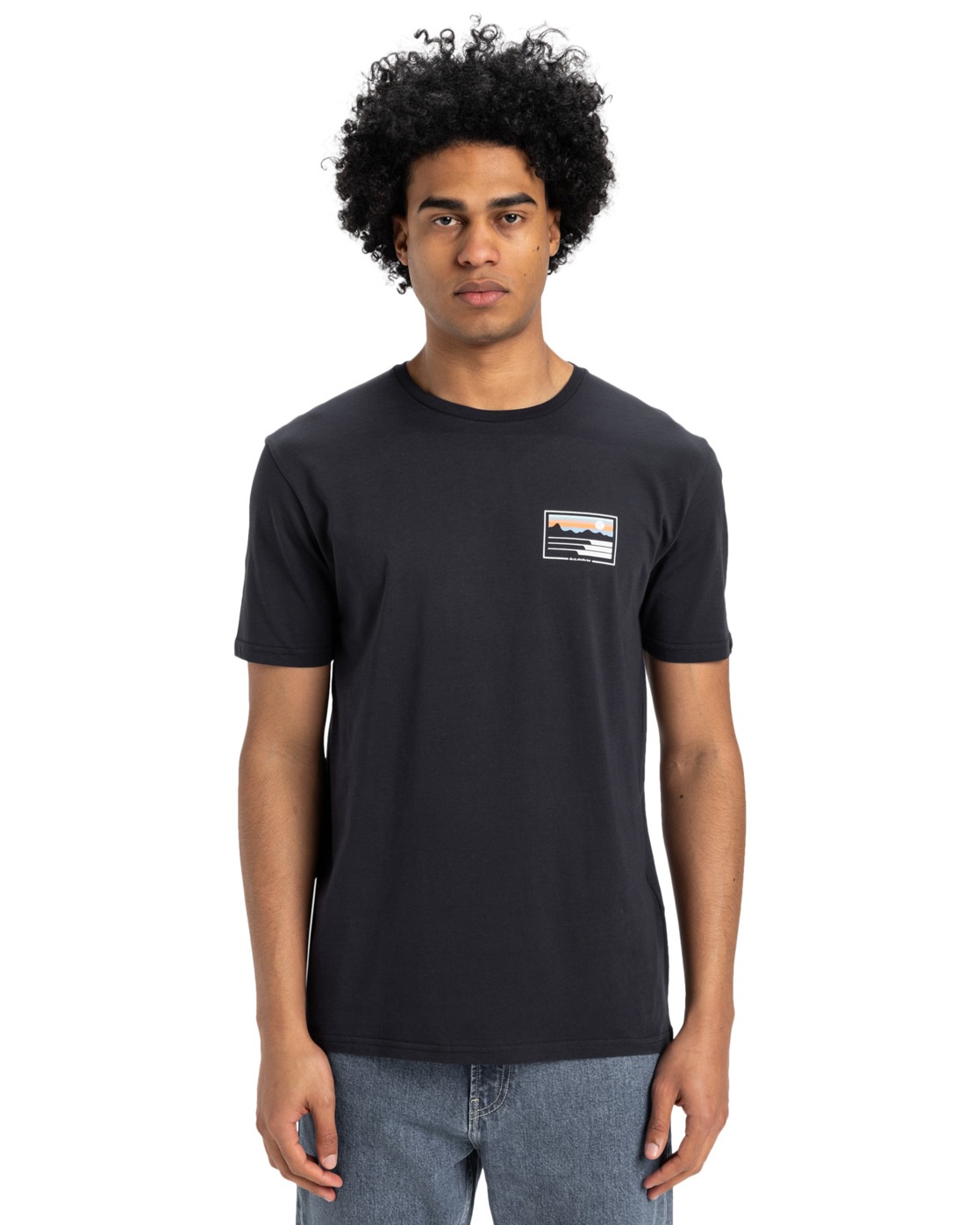 Quiksilver T-Shirt »Land And Sea« von Quiksilver
