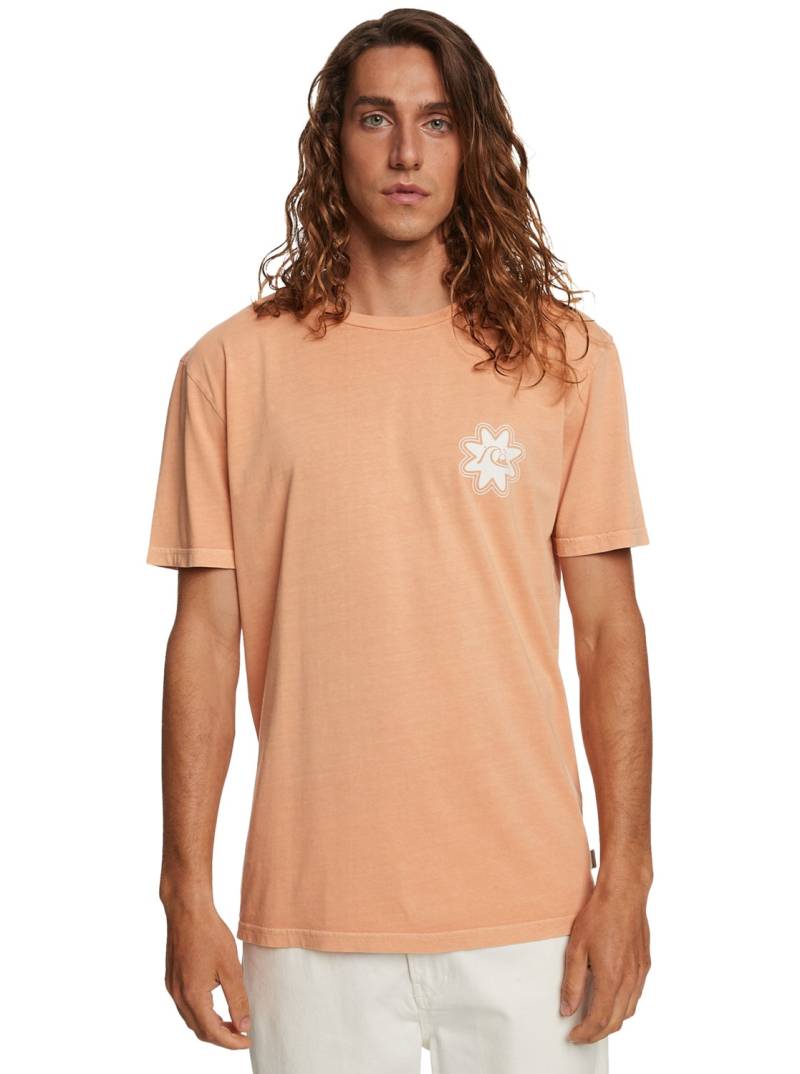 Quiksilver T-Shirt »Qs Psyched« von Quiksilver