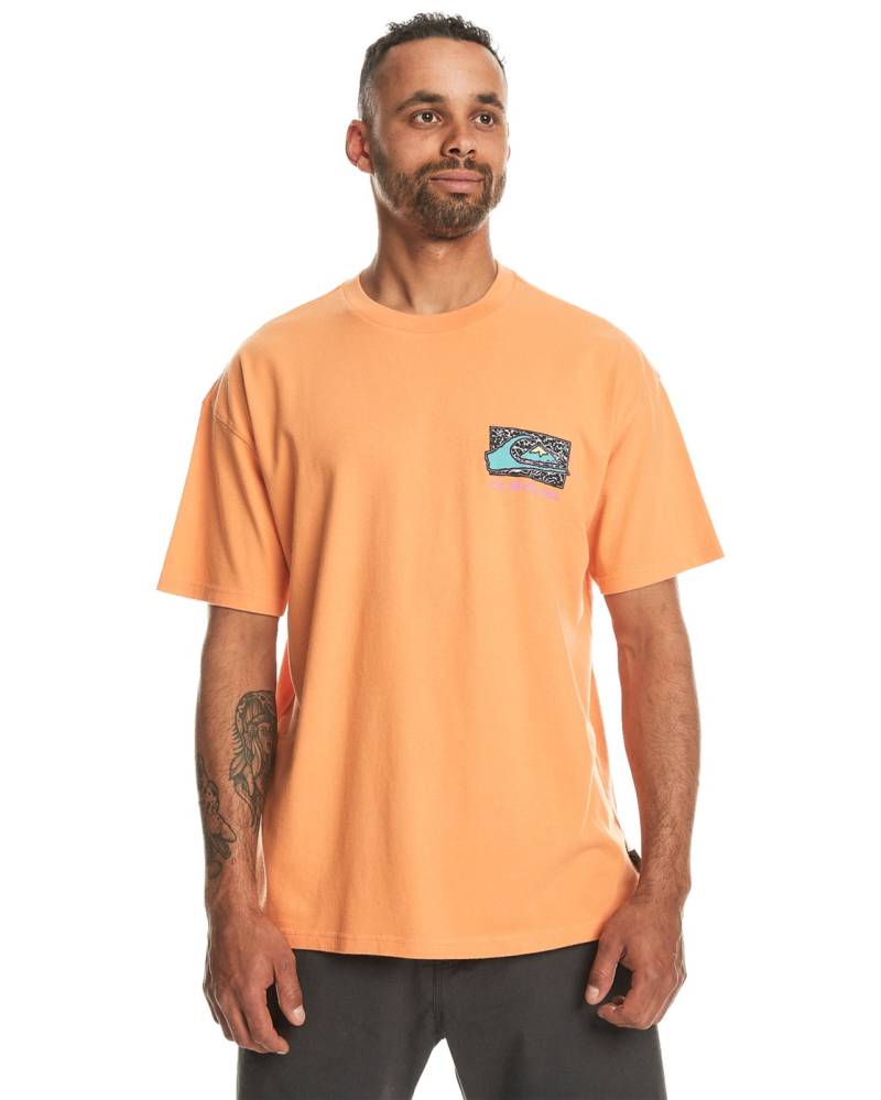 Quiksilver T-Shirt »Spin Cycle« von Quiksilver