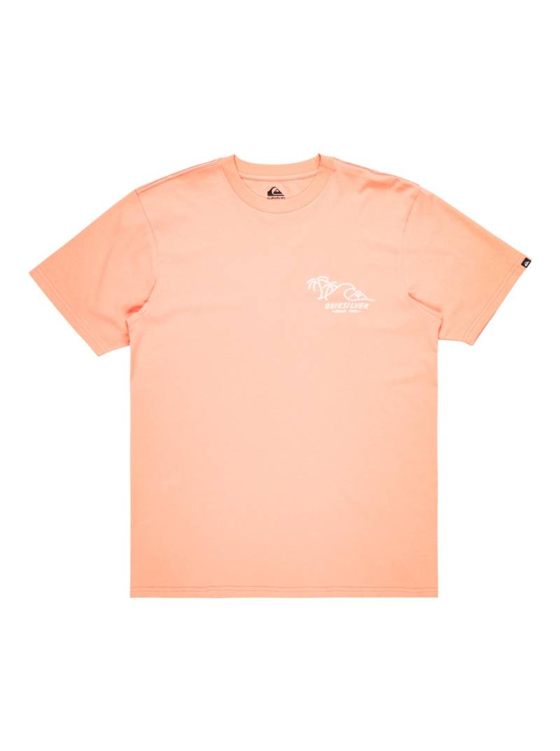 Quiksilver T-Shirt »Surf & Turf« von Quiksilver