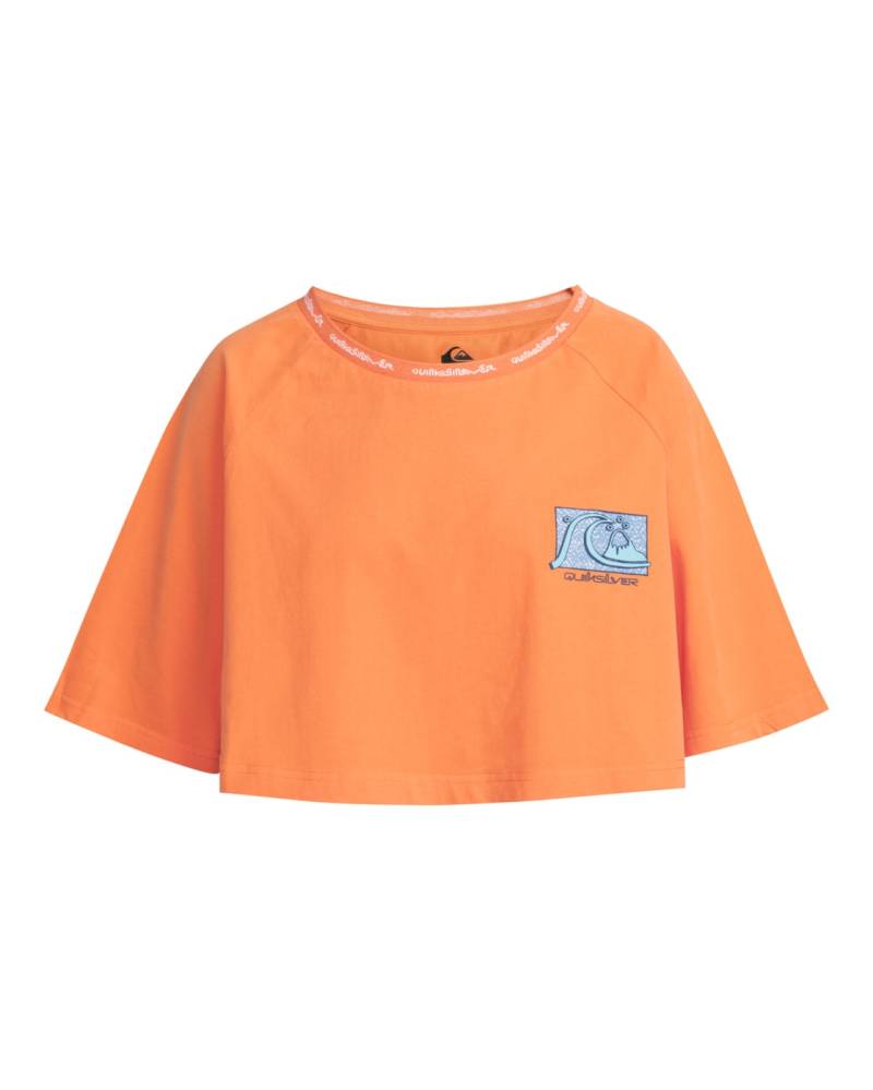 Quiksilver T-Shirt »UNI« von Quiksilver