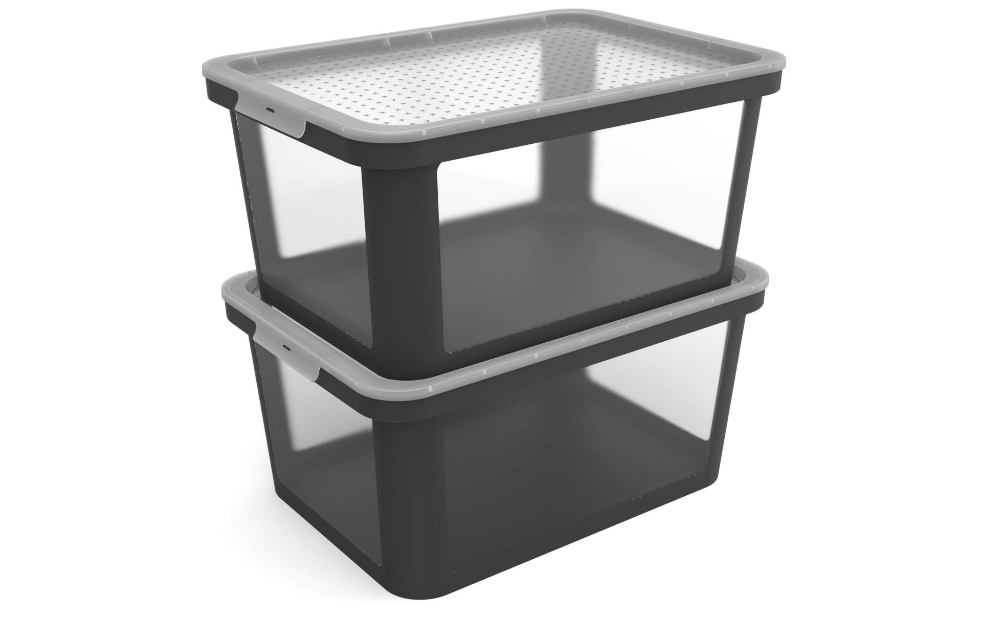 ROTHO Aufbewahrungsbox »ALBRIS 2 tlg.«, (2 St.) ROTHO Aufbewahrungsbox »ALBRIS 2 tlg.«, (2 St.) von ROTHO