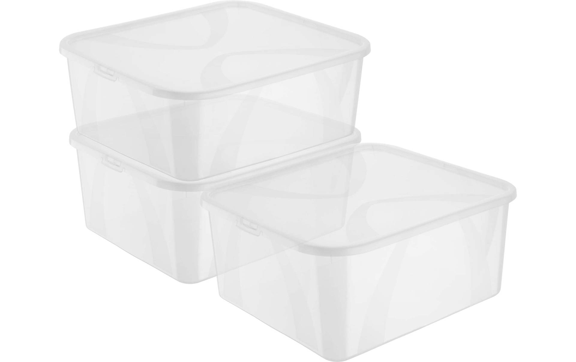 ROTHO Aufbewahrungsbox »ARCO 3 tlg.«, (3 St.) ROTHO Aufbewahrungsbox »ARCO 3 tlg.«, (3 St.) von ROTHO