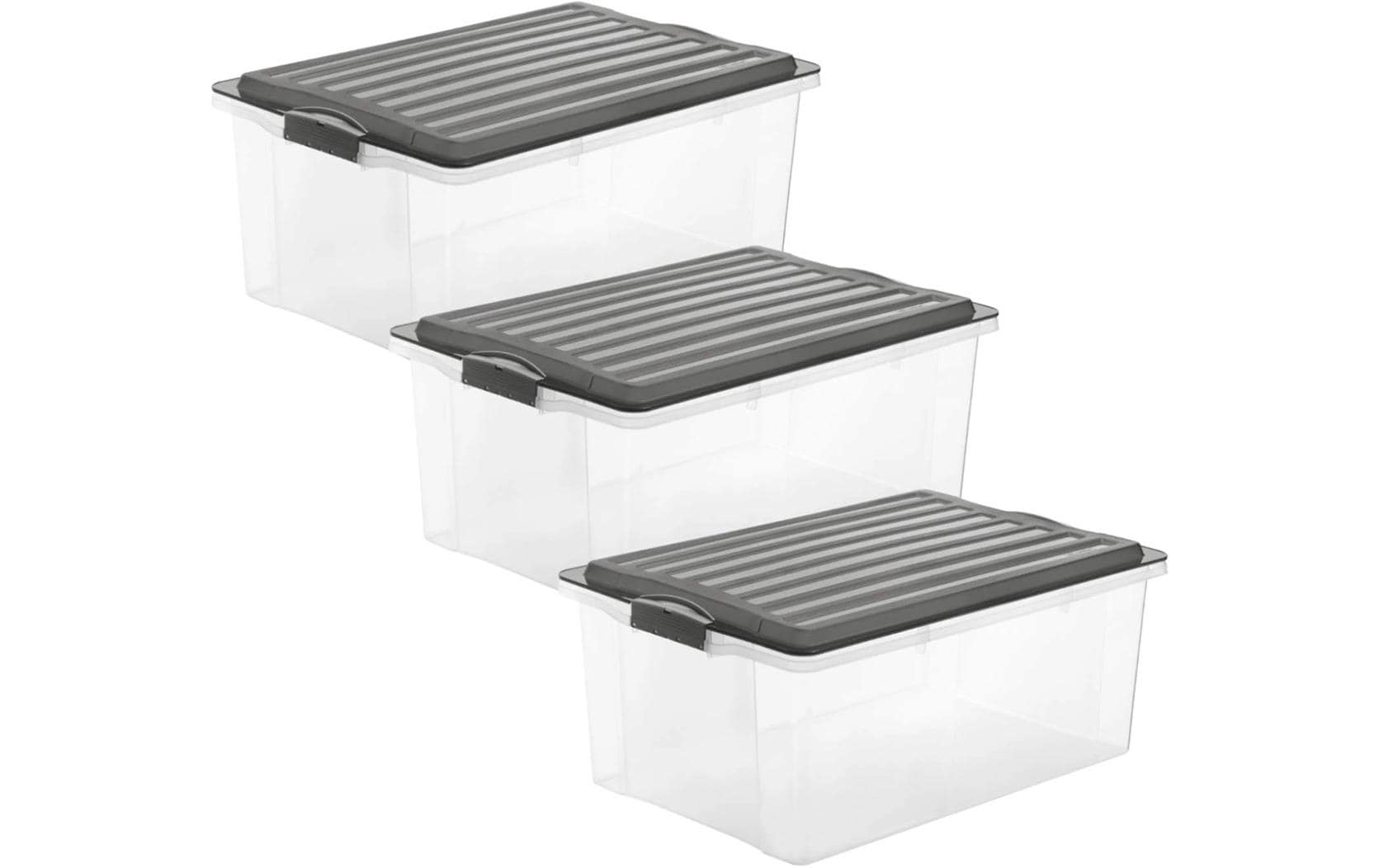 ROTHO Aufbewahrungsbox »COMPACT, 3 tlg.«, (3 St.) ROTHO Aufbewahrungsbox »COMPACT, 3 tlg.«, (3 St.) von ROTHO