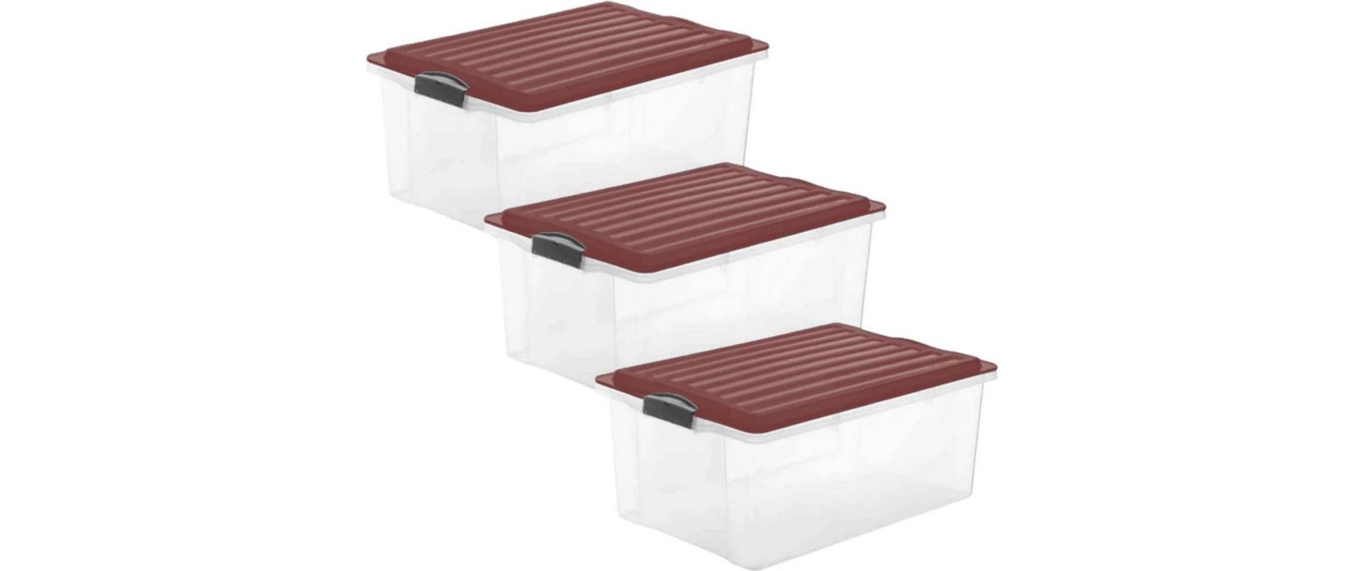 ROTHO Aufbewahrungsbox »COMPACT, 3 tlg.«, (3 St.) ROTHO Aufbewahrungsbox »COMPACT, 3 tlg.«, (3 St.) von ROTHO
