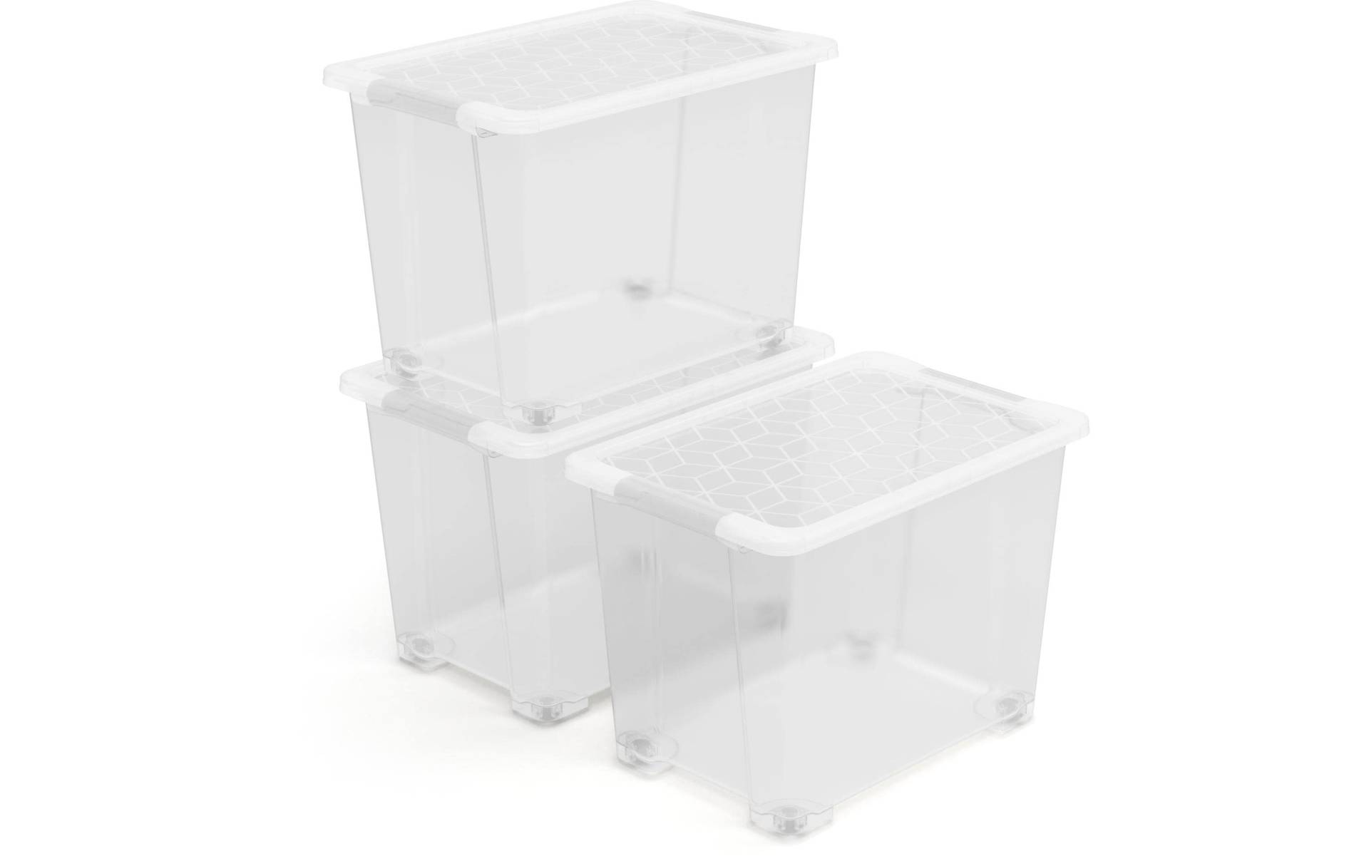 ROTHO Aufbewahrungsbox »EVO EASY«, (3 St.) ROTHO Aufbewahrungsbox »EVO EASY«, (3 St.) von ROTHO