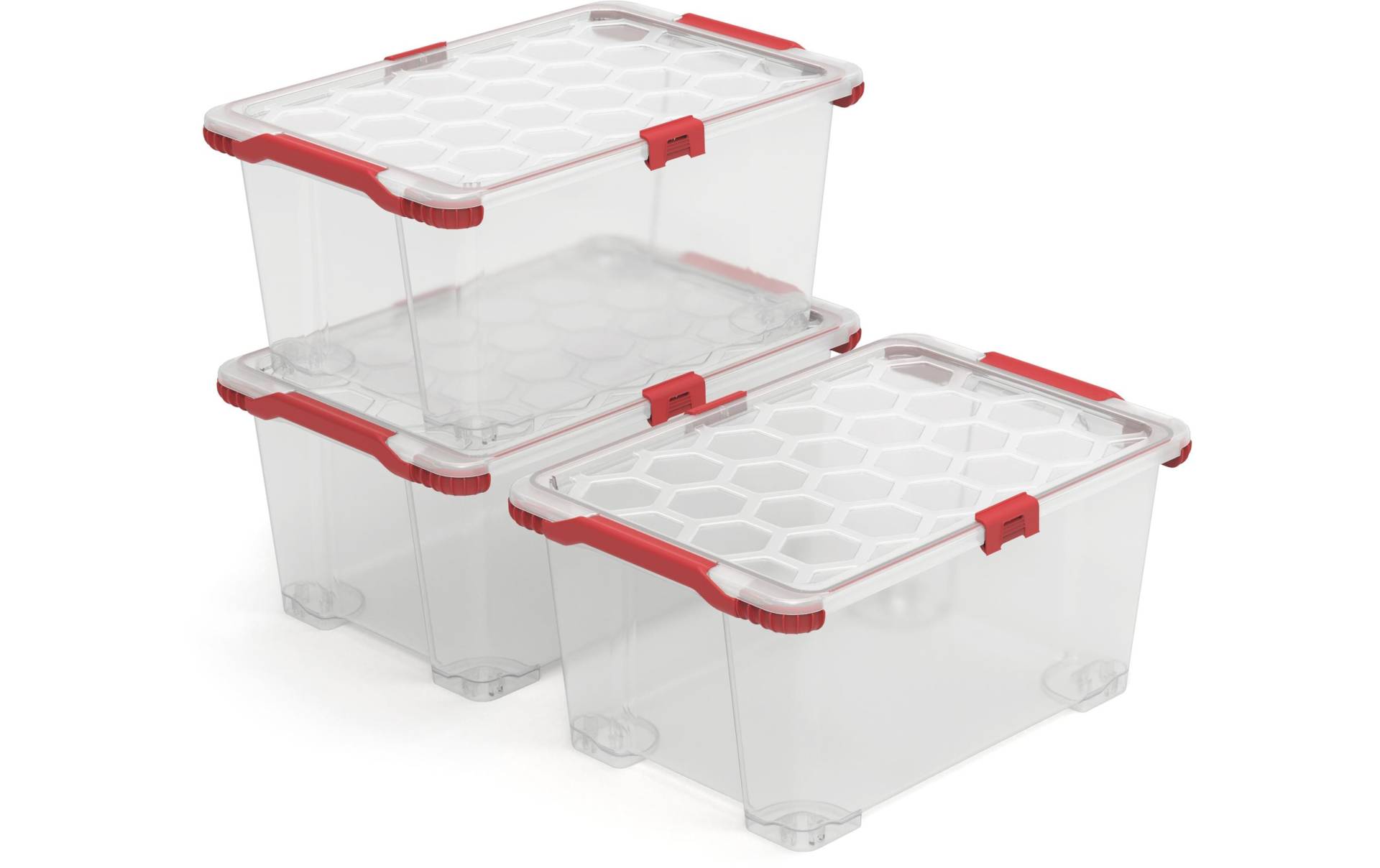 ROTHO Aufbewahrungsbox »EVO TOTAL Transparent, 3 tlg.«, (3 St.) ROTHO Aufbewahrungsbox »EVO TOTAL Transparent, 3 tlg.«, (3 St.) von ROTHO