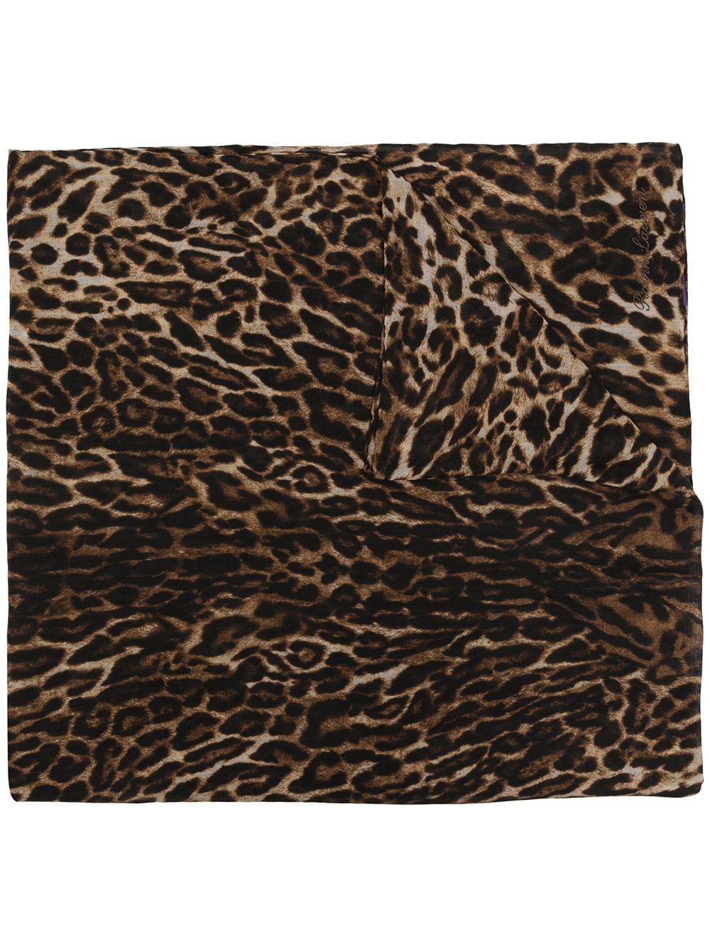 Ralph Lauren Collection leopard-print cashmere scarf - Black von Ralph Lauren Collection