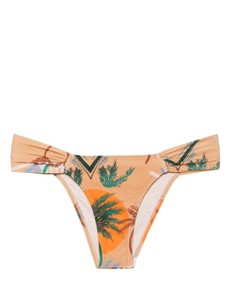 Raquel Diniz palm-tree-print bikini bottom - Brown von Raquel Diniz