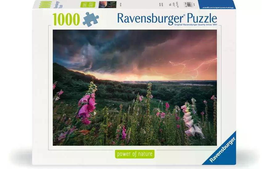 Ravensburger Puzzle »Ein Sturm zieht auf 1000 Teile« Ravensburger Puzzle »Ein Sturm zieht auf 1000 Teile« von Ravensburger