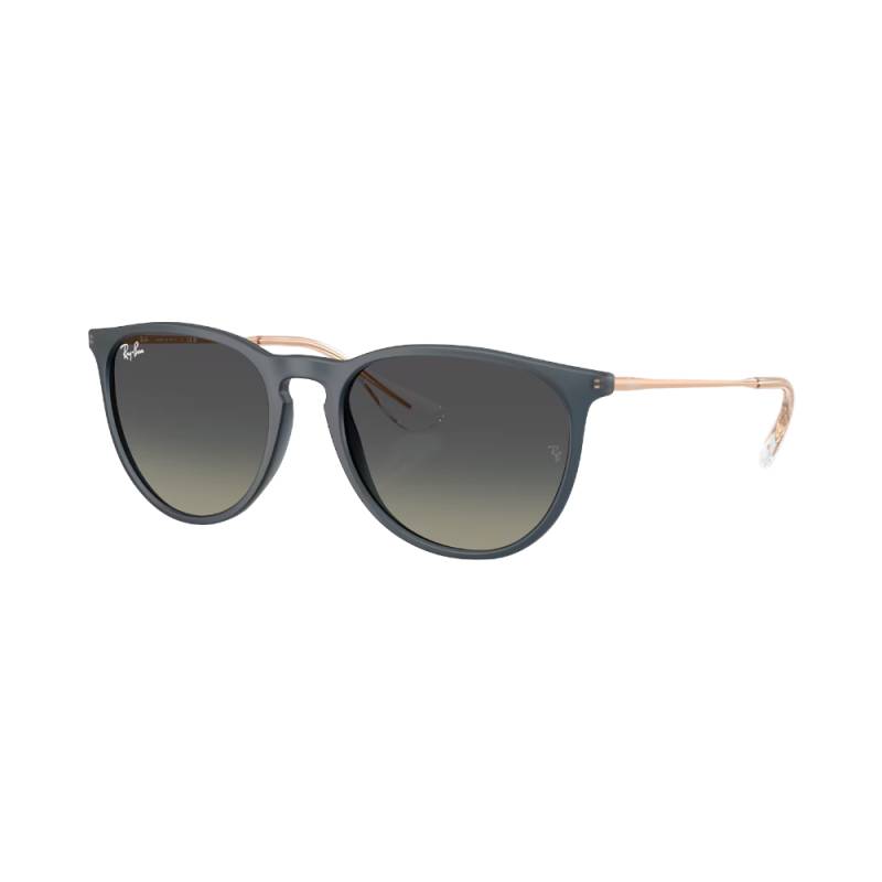 Ray-Ban ERIKA RB4171 blau / grau M von RayBan