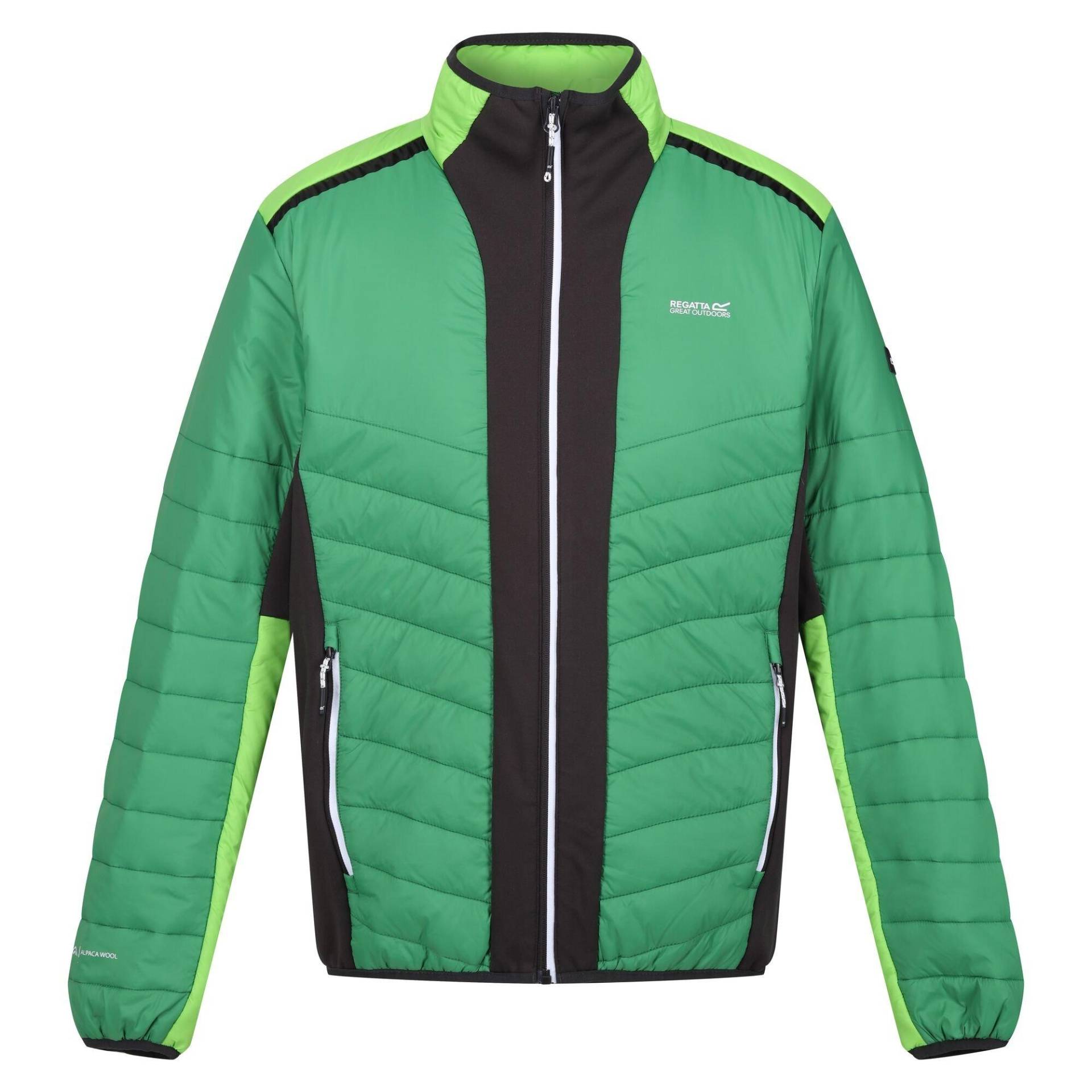 Halton Vii Steppjacke Herren Grün 3XL von Regatta