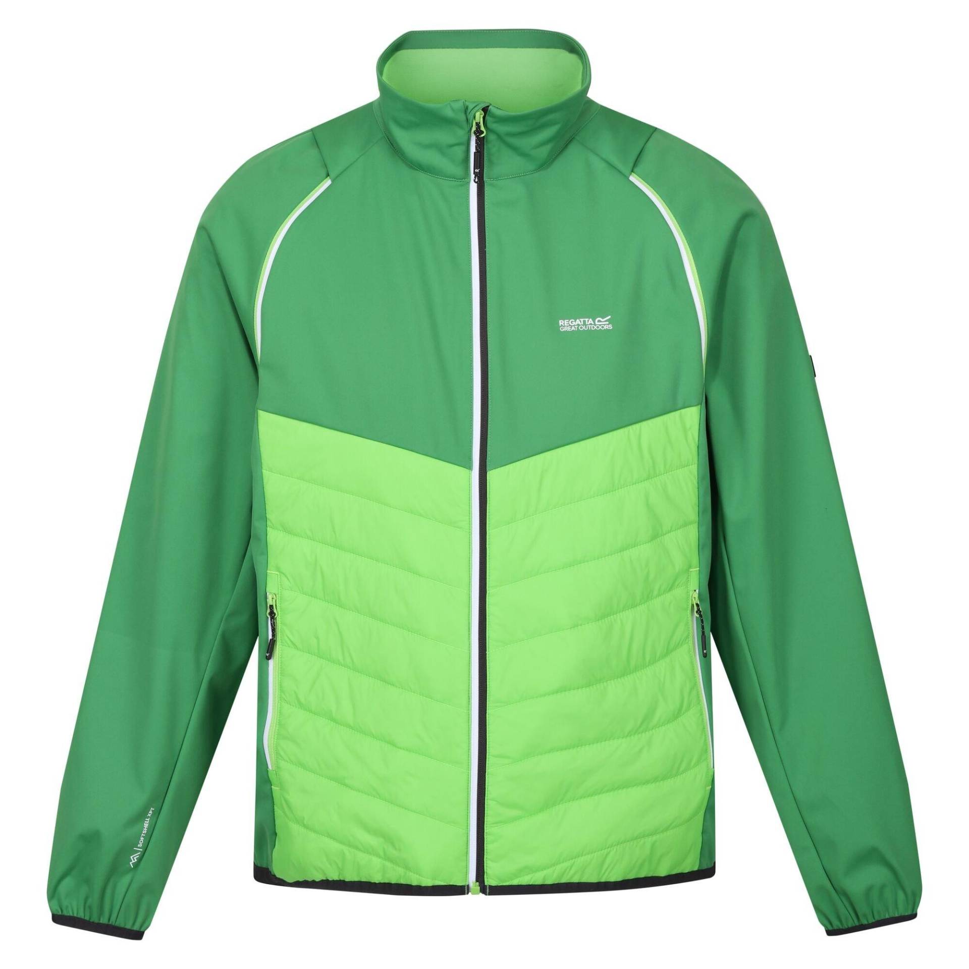 Steren Hybrid Softshelljacke Herren Grün L von Regatta