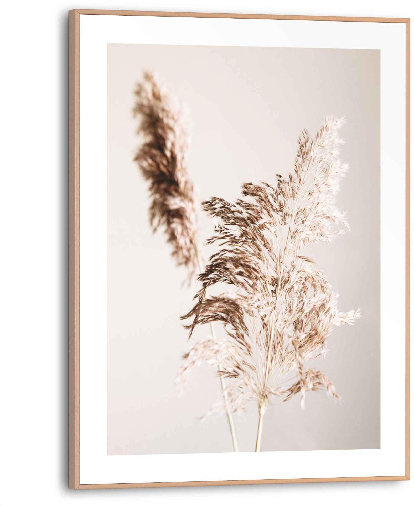 Reinders! Bild »Pampas Natur - Ruhe - Trockenblume«, (1 St.) von Reinders!