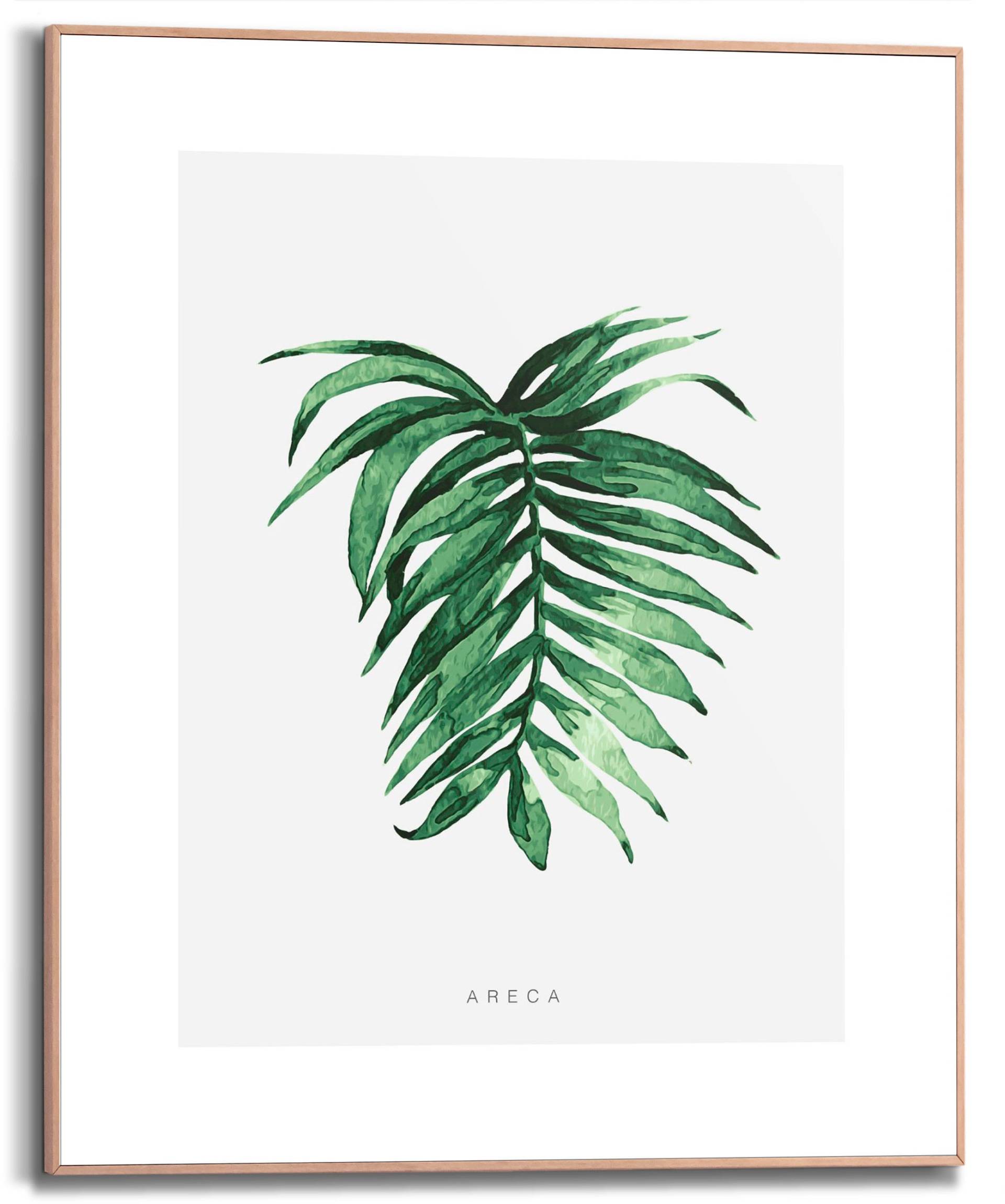 Reinders! Bild mit Rahmen »Areca Leaf«, (1 St.) von Reinders!