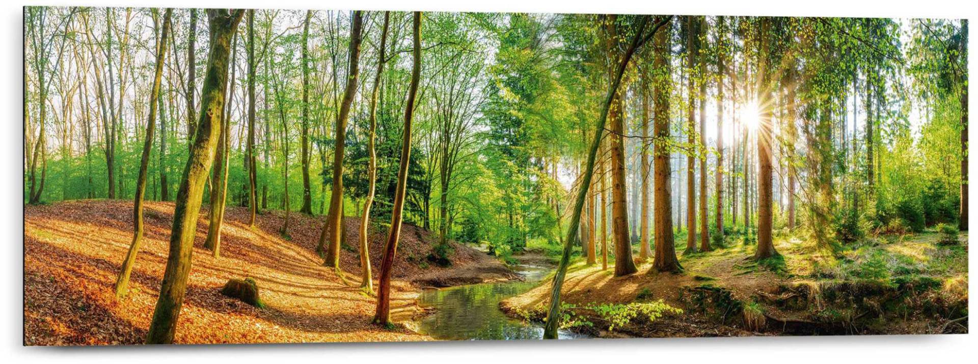 Reinders! Deco-Panel »Sonniger Wald« von Reinders!