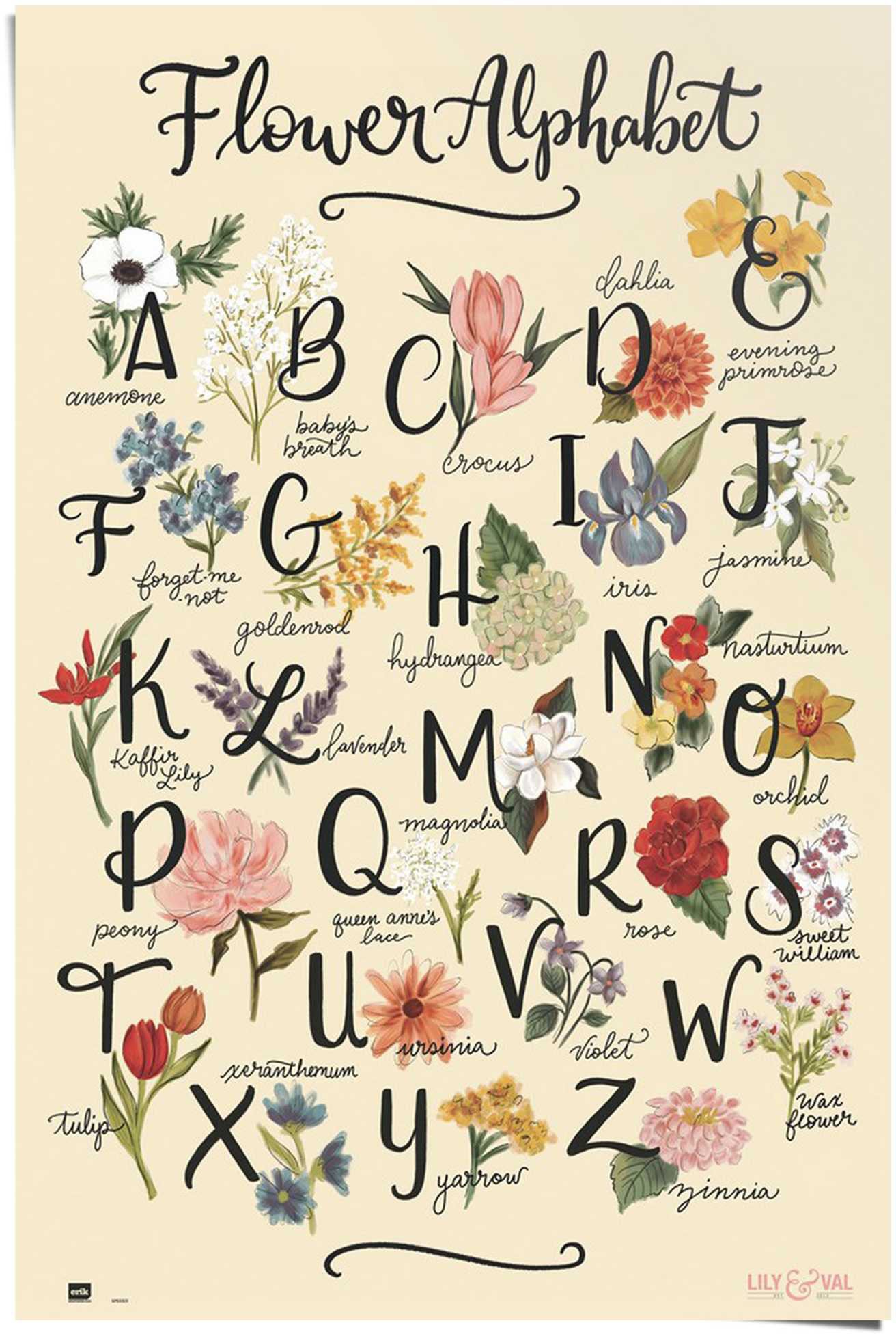 Reinders! Poster »Blumenalphabet« von Reinders!