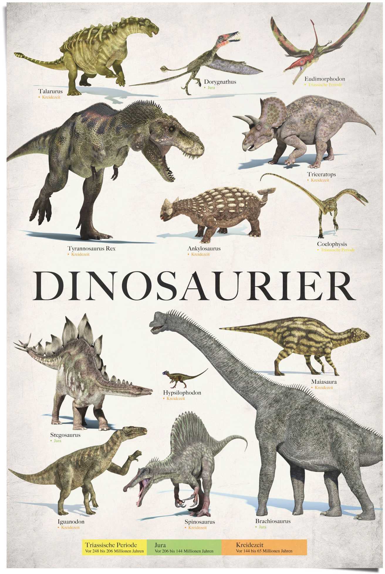 Reinders! Poster »Dinosaurier«, (1 St.) von Reinders!