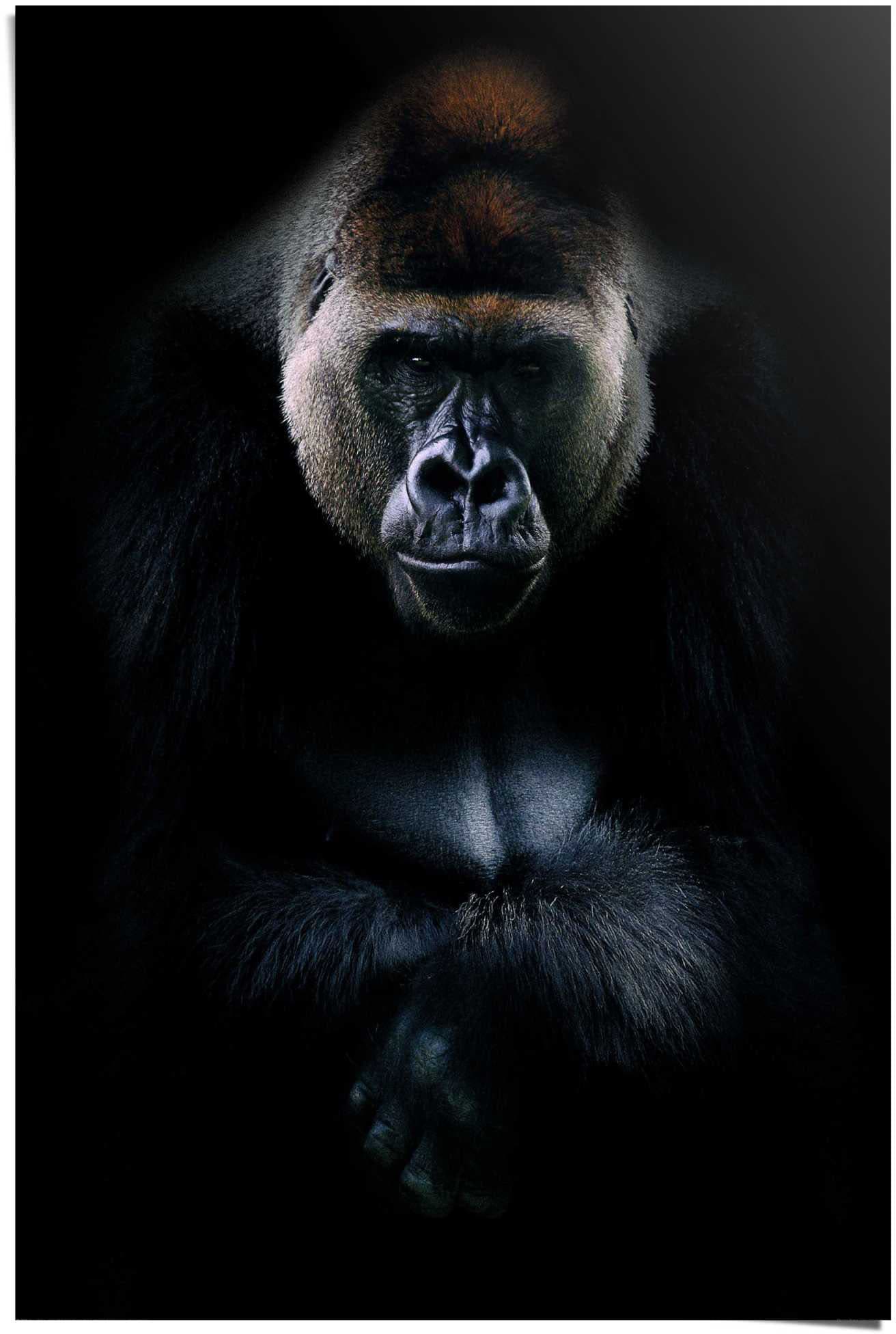 Reinders! Poster »Gorilla Gorilla«, (1 St.) von Reinders!