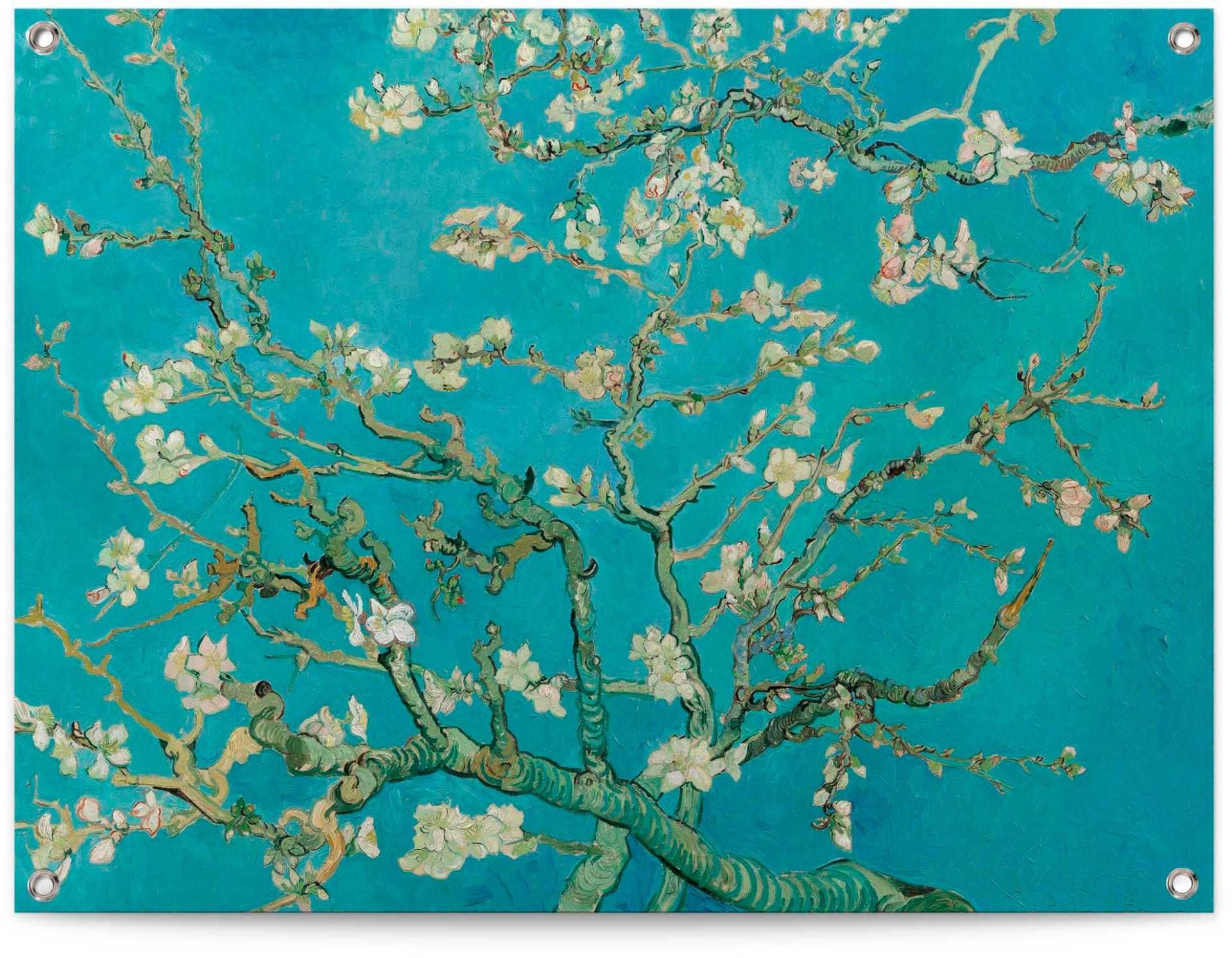 Reinders! Poster »Mandelblüte - Vincent van Gogh« von Reinders!
