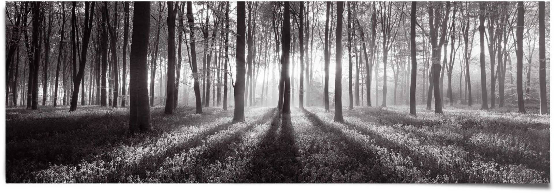 Reinders! Poster »Sonnenaufgang im Wald Schwarz-Weiss«, (1 St.) von Reinders!