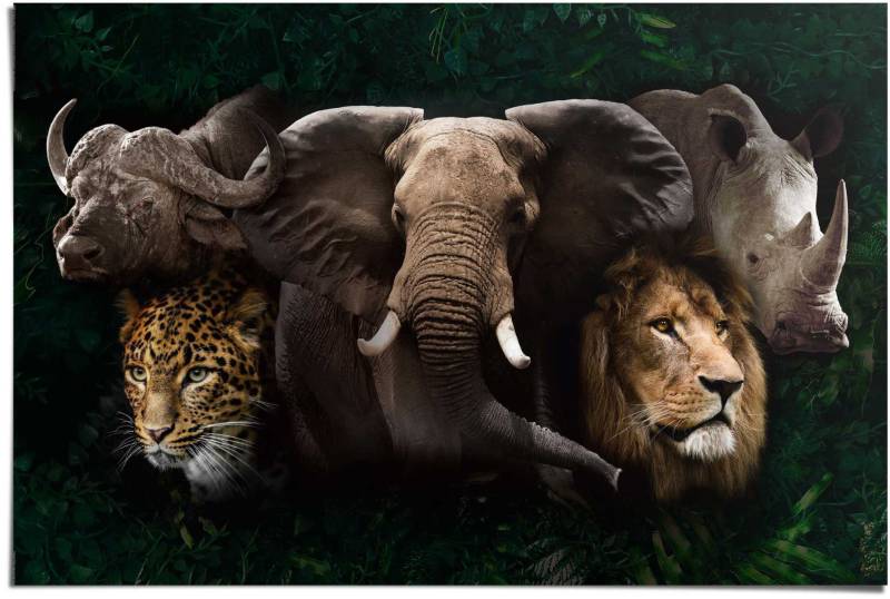 Reinders! Poster »The big five« von Reinders!