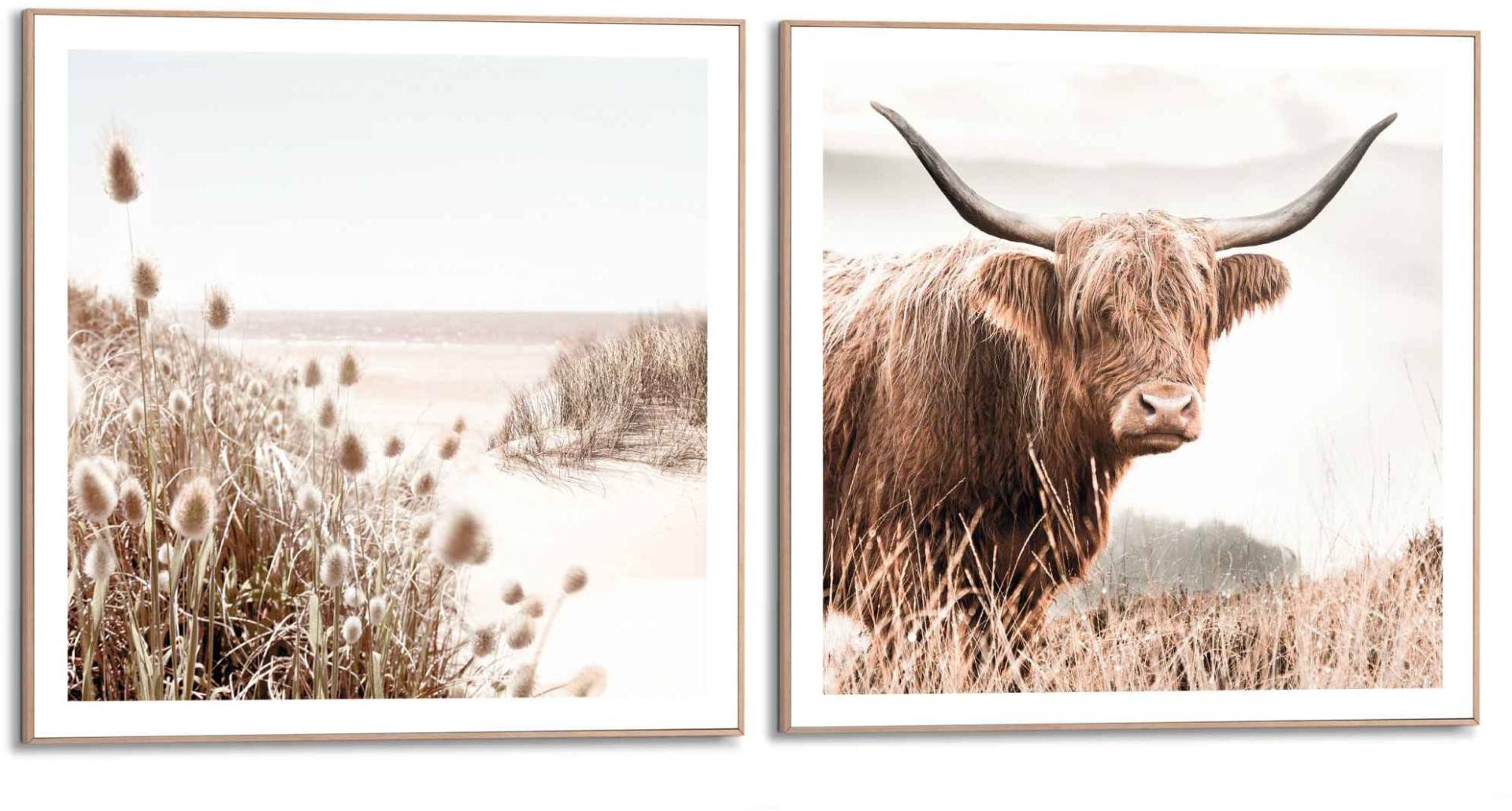 Reinders! Wandbild »Freie Natur Highlander - Kuh - Heide - Strand - Ruhe«, (2 St.) von Reinders!