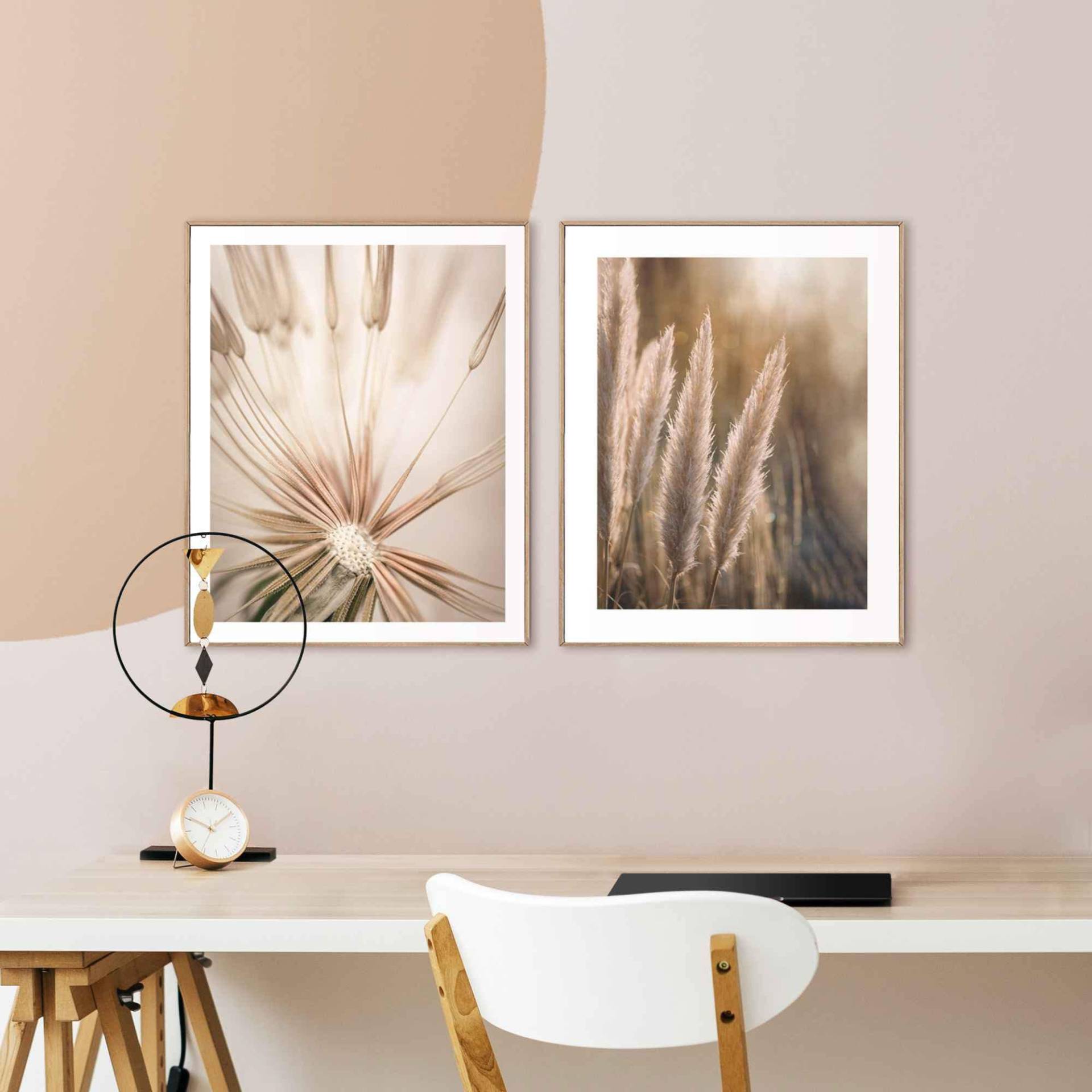 Reinders! Wandbild »Natur Botanisch - Pampas - Löwenzahn - Nahaufnahme«, (2 St.) von Reinders!