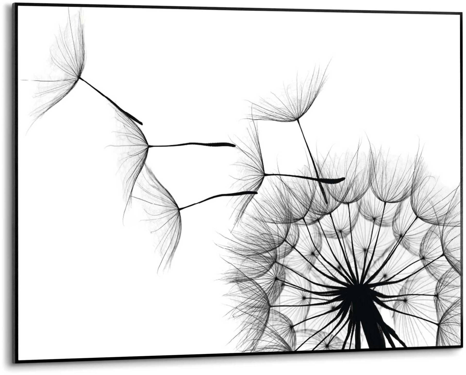 Reinders! Wandbild »Slim Frame Black 50x70 Dandelion« Reinders! Wandbild »Slim Frame Black 50x70 Dandelion« von Reinders!